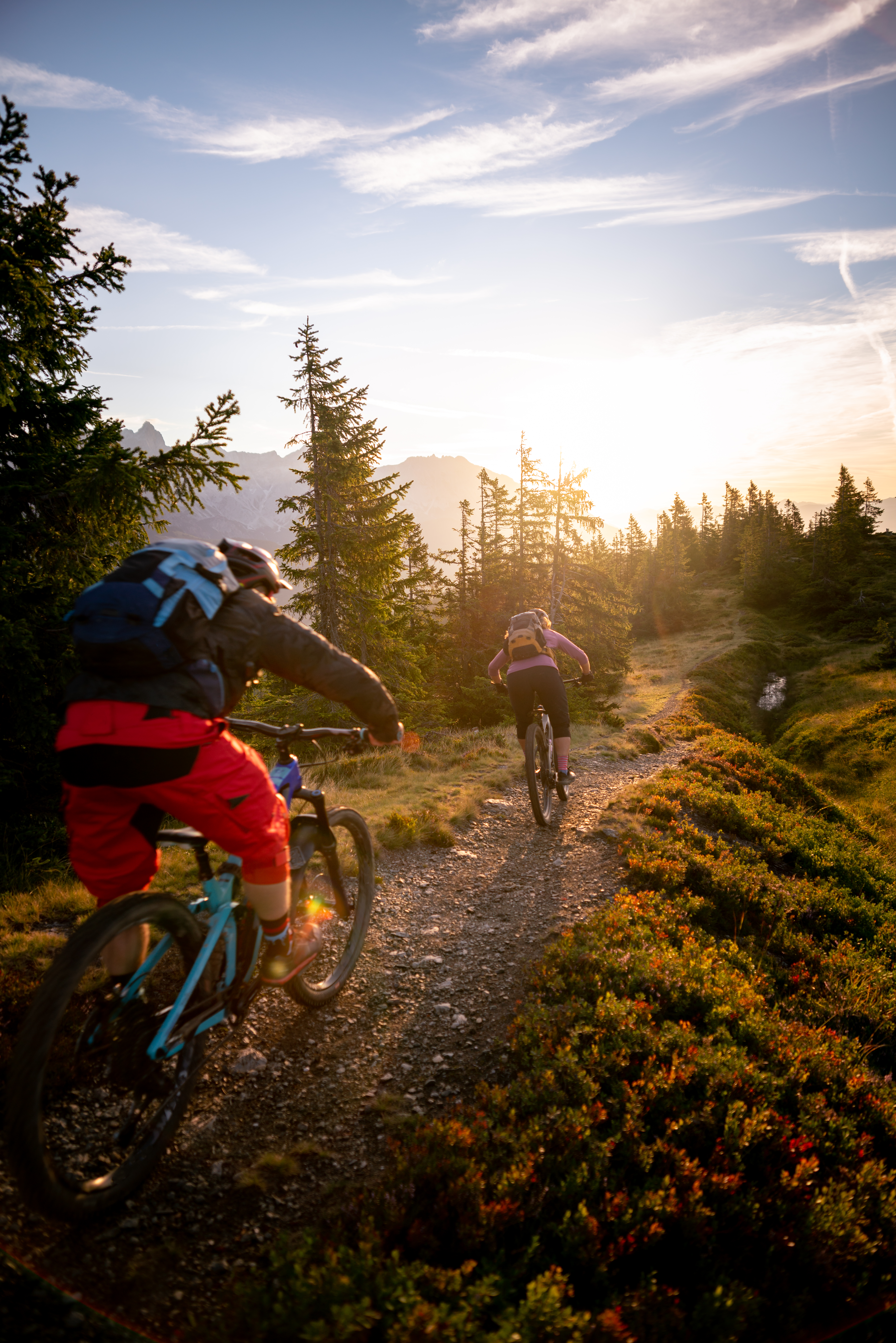 Mountainbiken & E-Biken