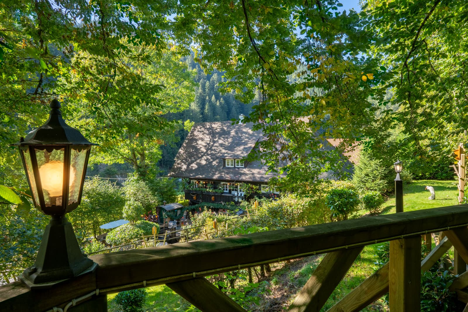 Schwarzwaldhaus im Sonnenlicht – Blick ins grüne Wolftal